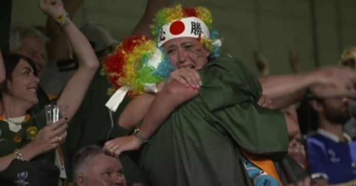 springbok-victory-video springbok-victory-video