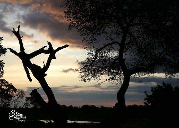 sunset kruger park marloth park marloth park - two people murdered from netherlands