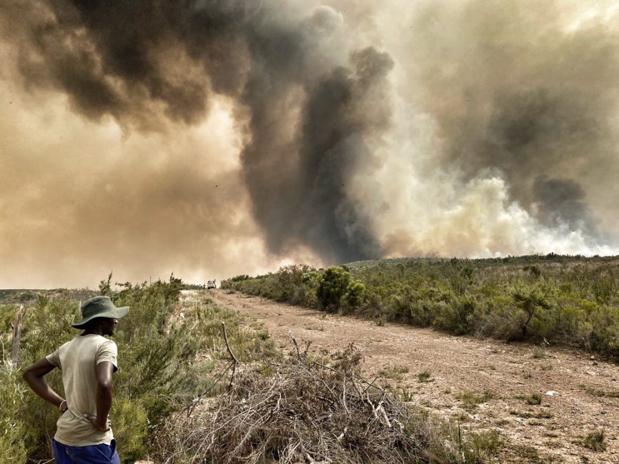 Greyton fire, South Africa