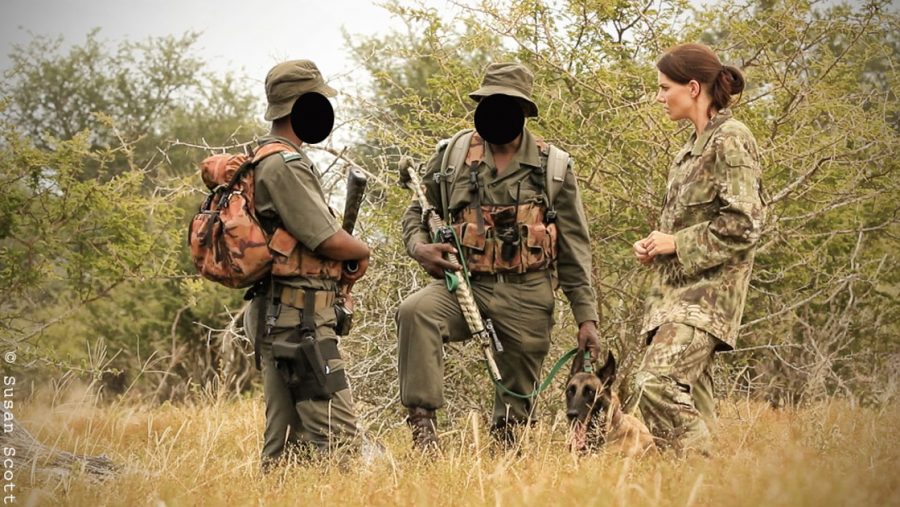 stroop wins kudu award, donates prize to kruger k9 unit