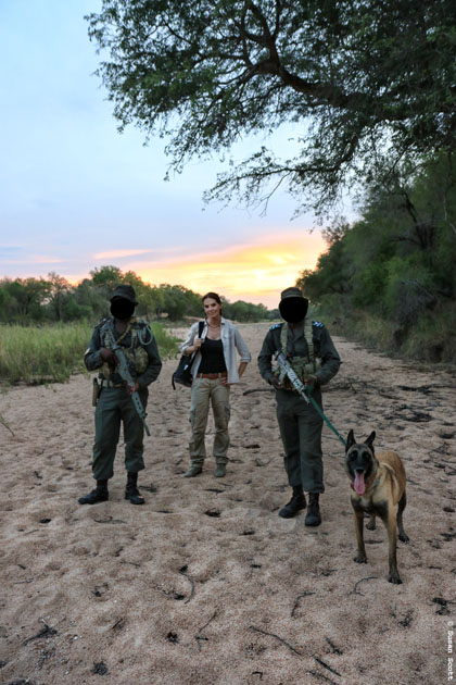 stroop wins kudu award, donates prize to kruger k9 unit