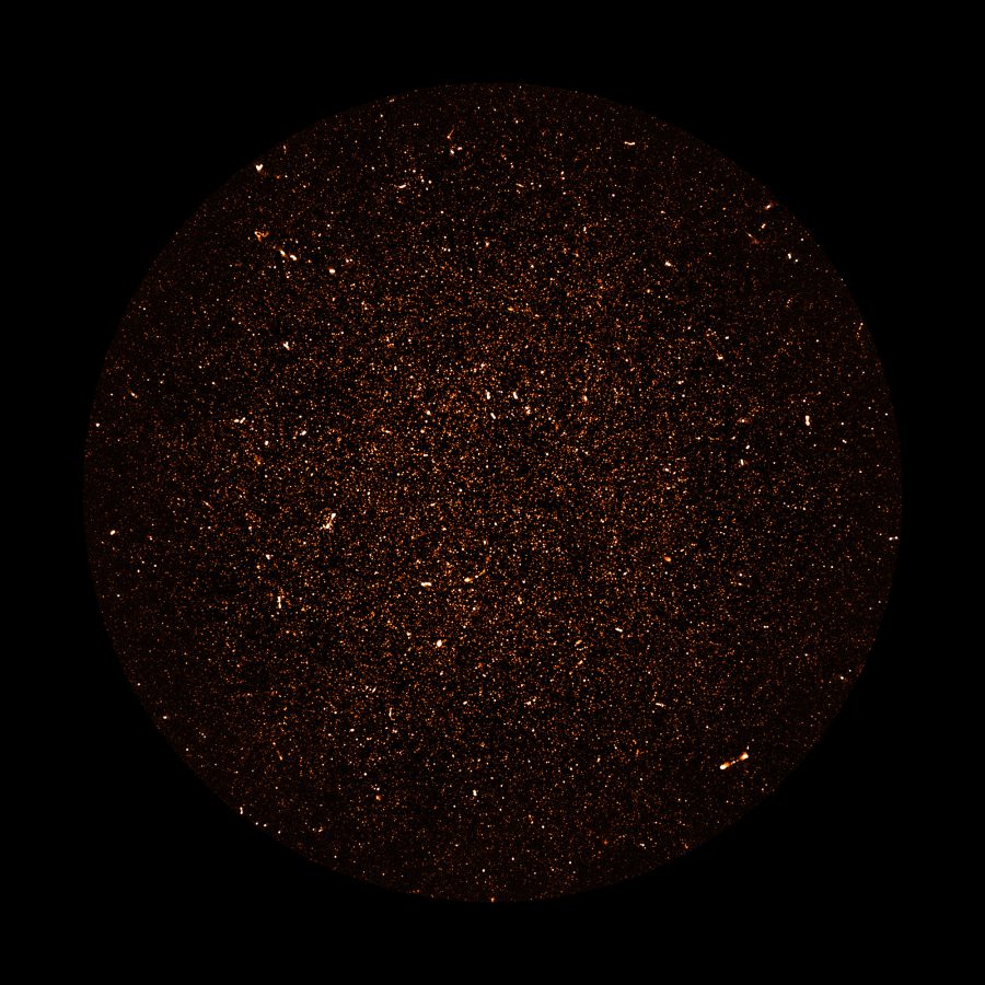 south africa meerkat telescope meerkat images milky way south africa meerkat telescope