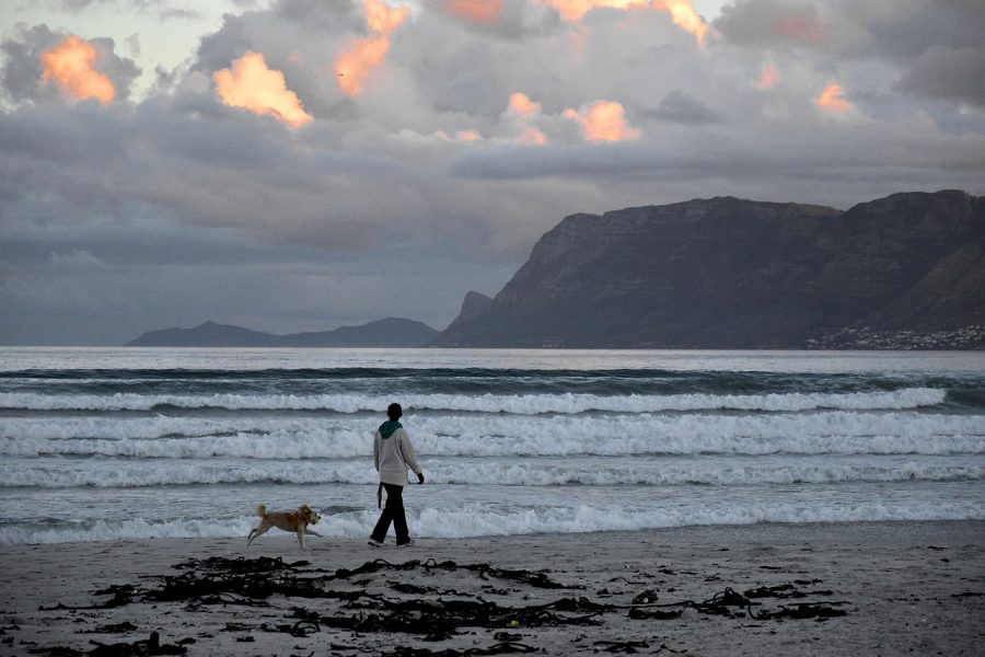 kitesurfer rescued muizenberg beach attack