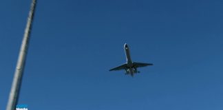 can saa be saved asks carte blanche