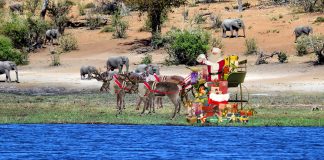 santa-reindeer-south-africa