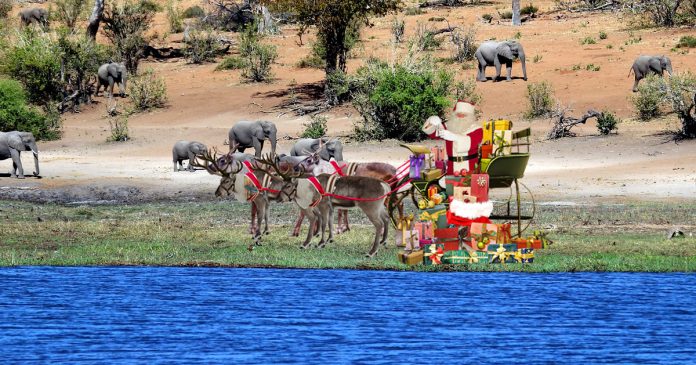 santa-reindeer-south-africa santa-reindeer-south-africa