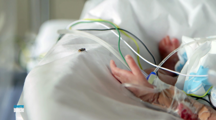 babies babies hospitals die south africa