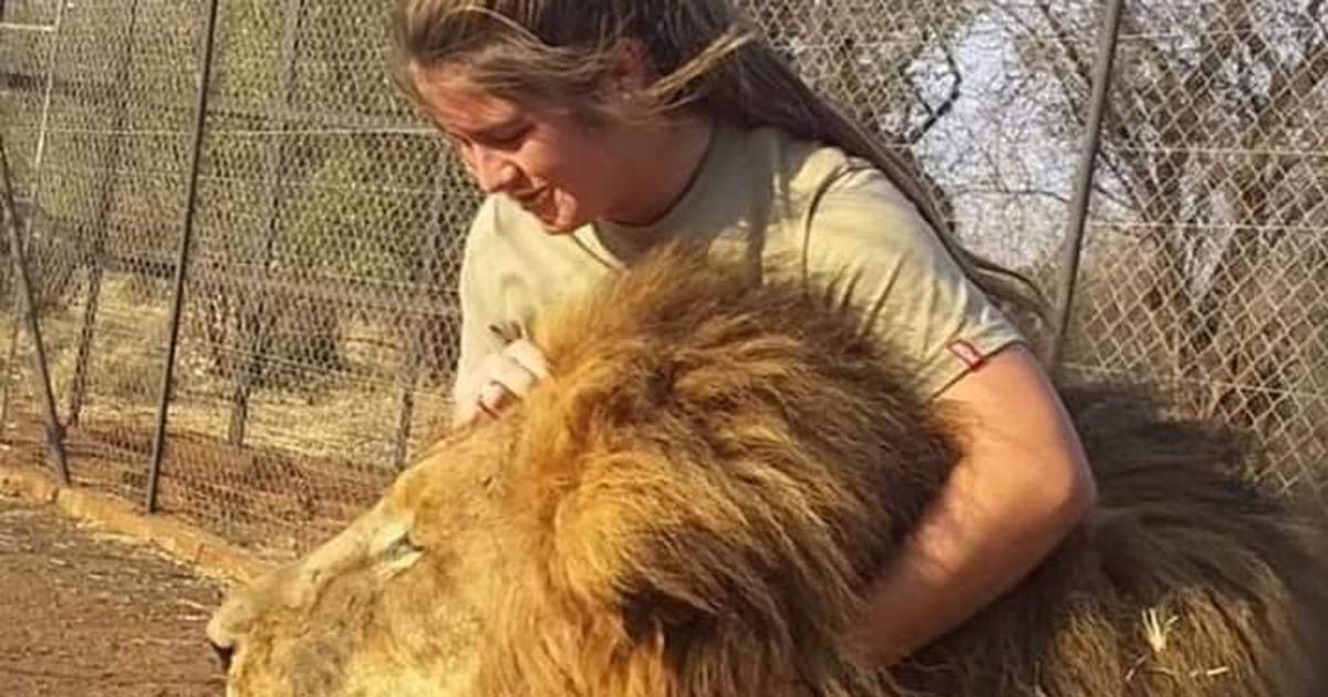 Lions Kill 21-Year-Old Animal Lover on Private Game Reserve in Bela Bela, South  Africa - SAPeople - Worldwide South African News
