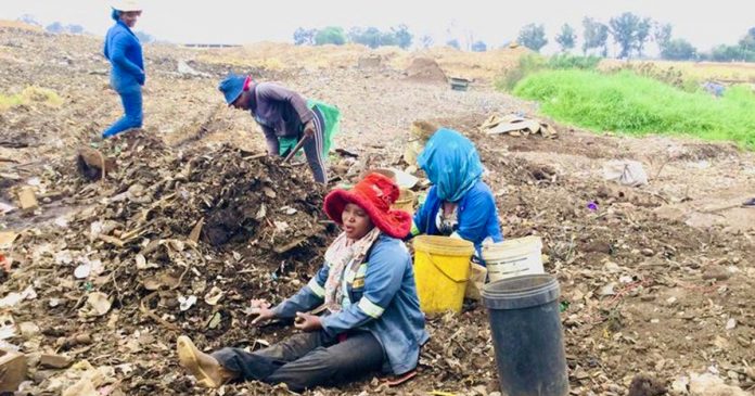 women-work-metal-dump women work metal dump south africa