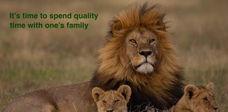 africa wildlife corona uplifting photos