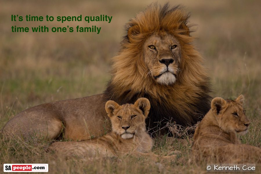 africa wildlife corona uplifting photos