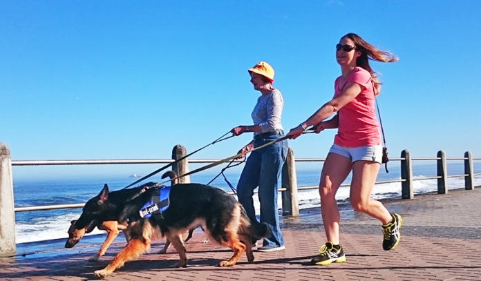 Pet HealthCare (2) dog walk cape town