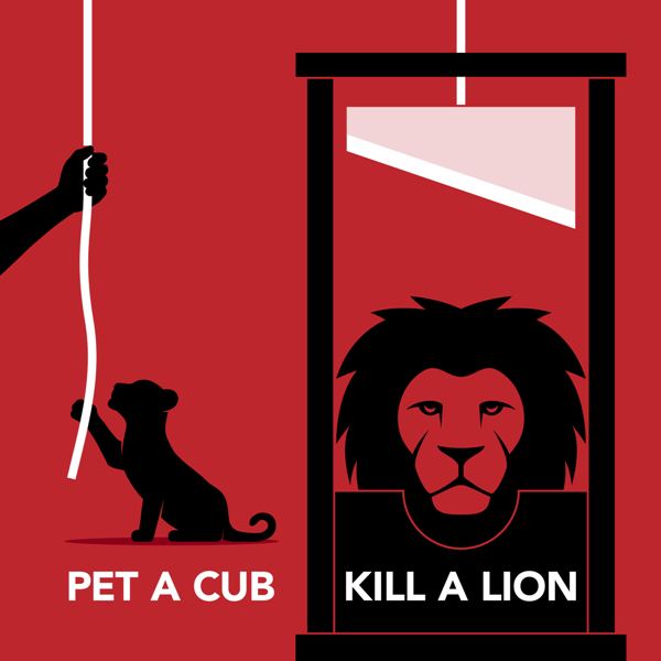 why do we pet lion cubs why do we pet lion cubs