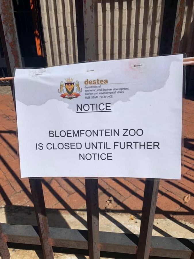 bloemfontein zoo closed animals abused