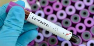 corona virus south africa update