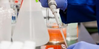 south africa coronavirus update local transmission