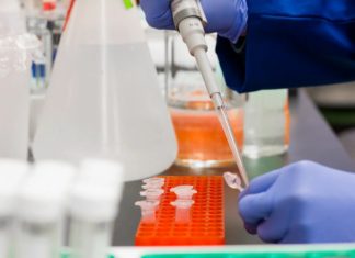 south africa coronavirus update local transmission