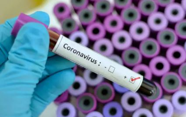 coronavirus update south africa cases