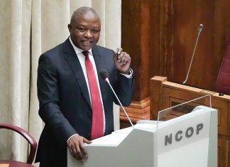 deputy president land grabs south africa