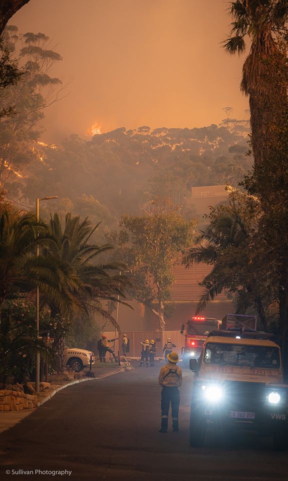 Arson Suspected as Table Mountain National Park Fire Contained After