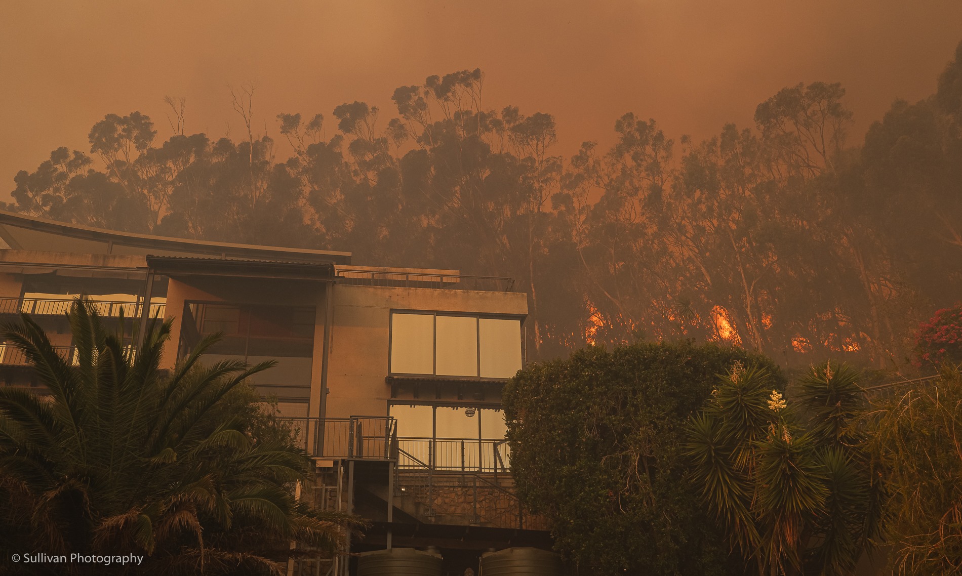 Arson Suspected as Table Mountain National Park Fire Contained After