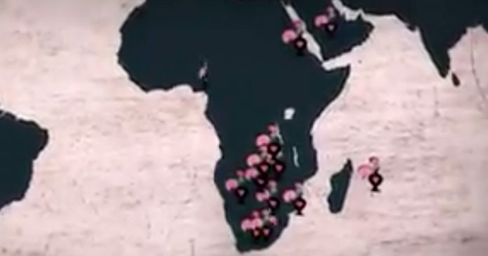 nandos-closes-stores-advert-video nandos-closes-stores-advert-video