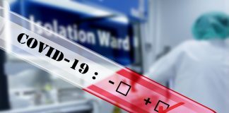 south africa coronavirus update