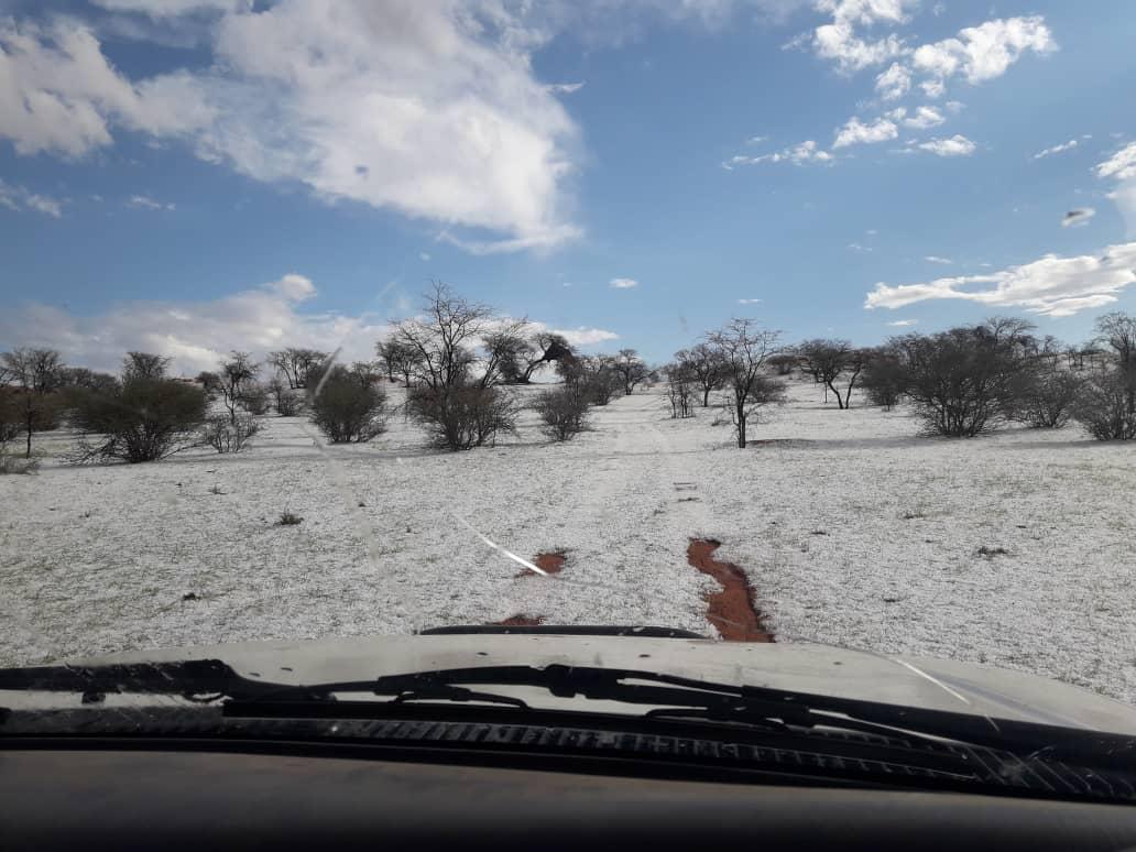 kalahari desert dunes covered ice kalahari desert dunes covered ice