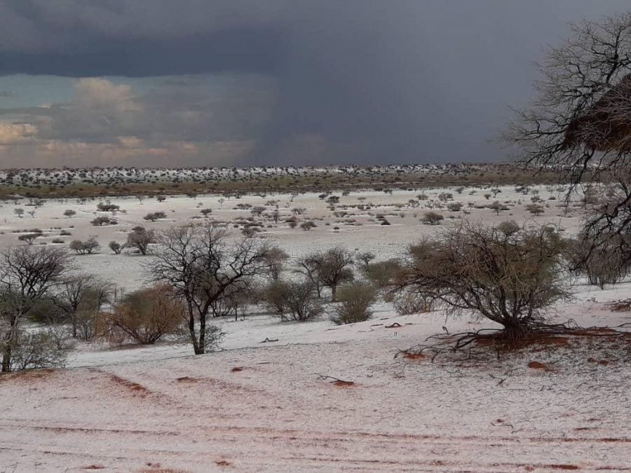 PHOTOS Kalahari Dunes Covered with Ice! SAPeople Worldwide South