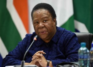 naledi pandor on south africans stranded abroad