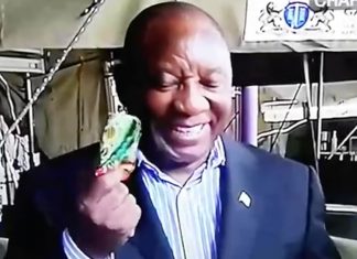 president ramaphosa laughs mask incident