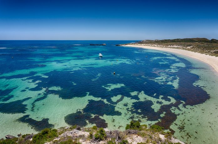 rottnest island australia quarantine rottnest island australia quarantine