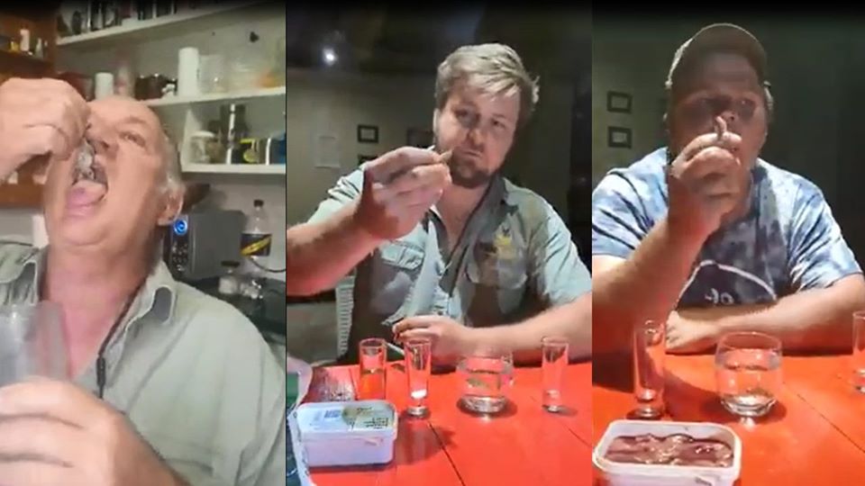 south africans corona challenge live animals nspca