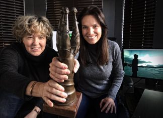 stroop wins safta award