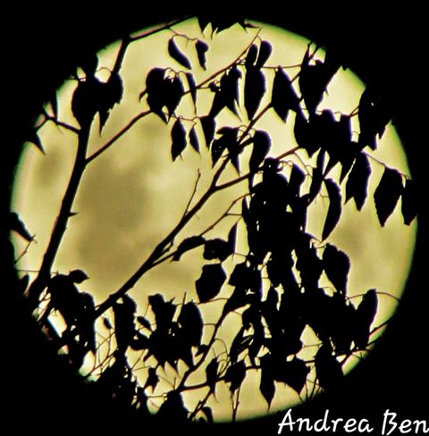 supermoon joburg 2020