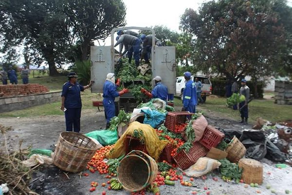 zimbabwe coronavirus coping