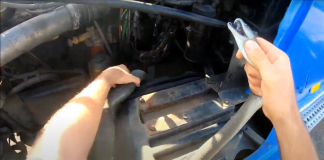 black mamba nick evans south africa