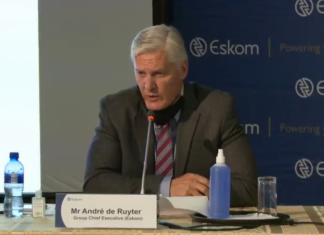 andre de ruyter eskom south africa