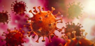 covid-19-disease-south-africa
