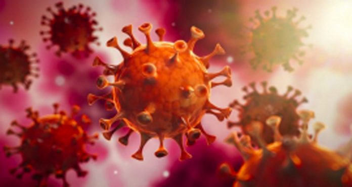 covid-19-disease-south-africa covid-19-disease-south-africa
