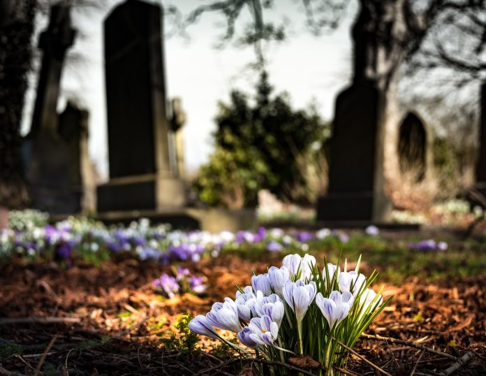 graveyard thieves exhumation fluid alcohol free state south africa graveyard thieves exhumation fluid alcohol free state south africa