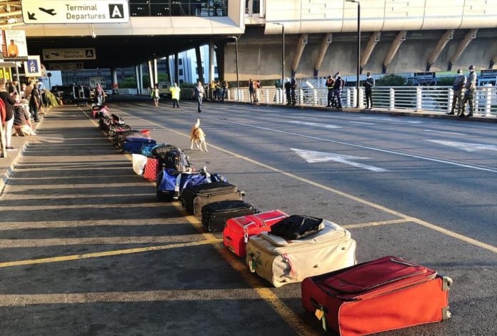 saa suitcases dog repatriation repatriation south african citizens from USA