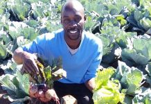 tim-abaa-fresh-produce-gauteng-south-africa