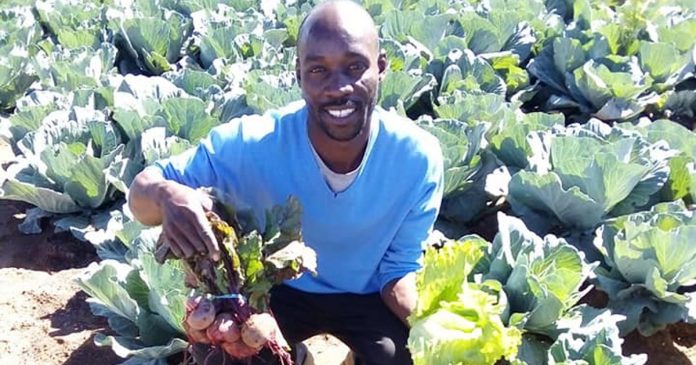 tim-abaa-fresh-produce-gauteng-south-africa tim-abaa-fresh-produce-gauteng-south-africa