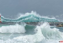 Man Wave Kalk Bay