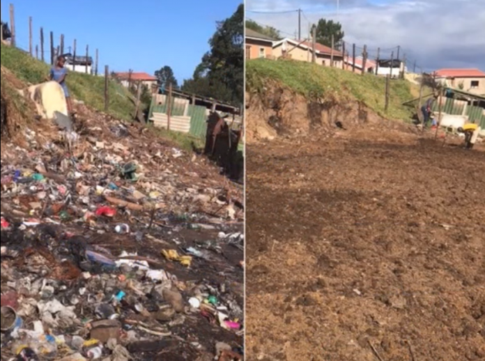 knysna vegetable garden garbage dump south africa