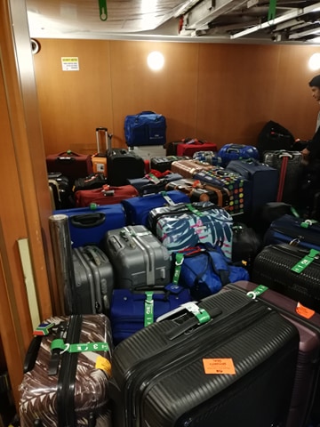 baggage repatriated south africans