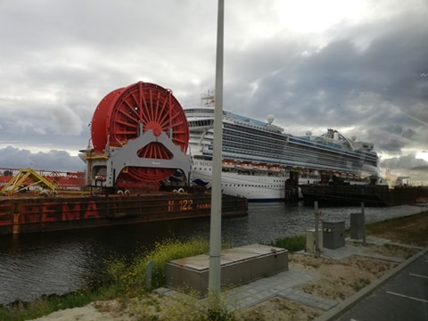 cruise ship south africans needing repatriation
