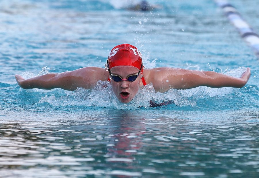 Swimmer Dune Coetzee