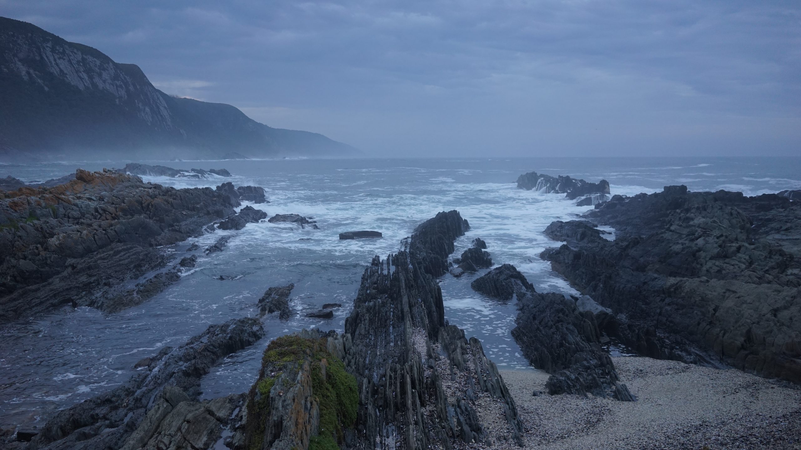 eastern cape covid cases